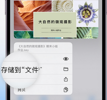 长安镇apple维修中心分享iPhone文件应用中存储和找到下载文件