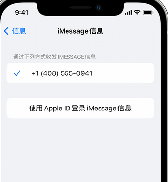 长安镇apple维修iPhone上无法正常发送iMessage信息 