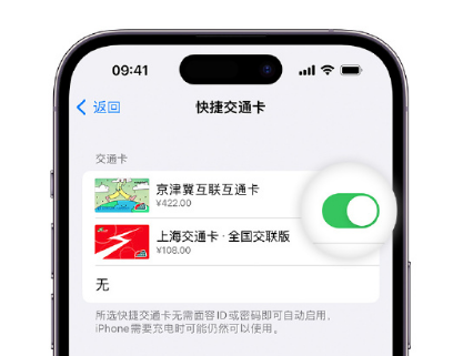 长安镇apple维修点分享iPhone上更换Apple Pay快捷交通卡手绘卡面 