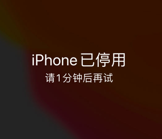 长安镇苹果手机维修分享:iPhone 显示“不可用”或“已停用”怎么办？还能保留数据吗？ 