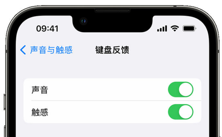 长安镇苹果手机维修分享iPhone 14触感键盘使用方法 