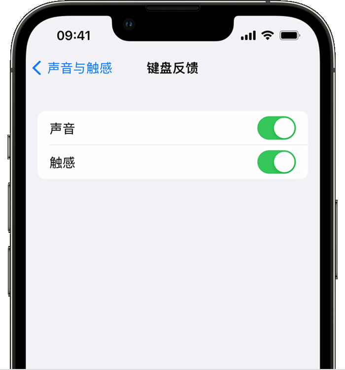 长安镇苹果14维修店分享如何在 iPhone 14 机型中使用触感键盘 