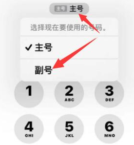 长安镇苹果14维修店分享iPhone 14 Pro Max使用副卡打电话的方法 