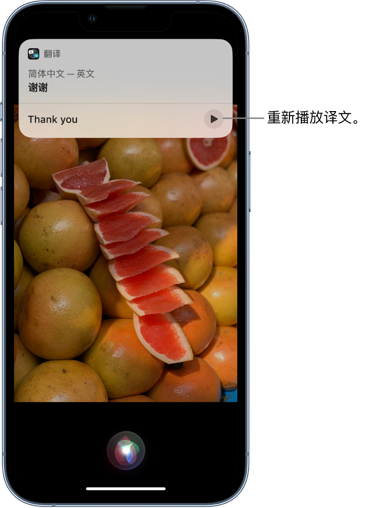 长安镇苹果14维修分享 iPhone 14 机型中使用 Siri：了解 Siri 能帮你做什么 