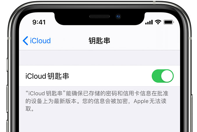 长安镇苹果手机维修分享在 iPhone 上开启 iCloud 钥匙串之后会储存哪些信息 