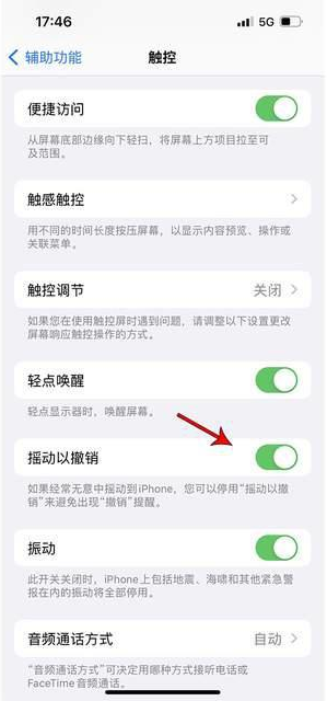 长安镇苹果手机维修分享iPhone手机如何设置摇一摇删除文字 